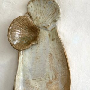 seashells in the sea